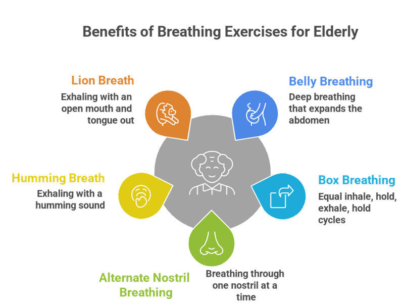 5 Simple Breathing Exercises for Elderly Wellness
